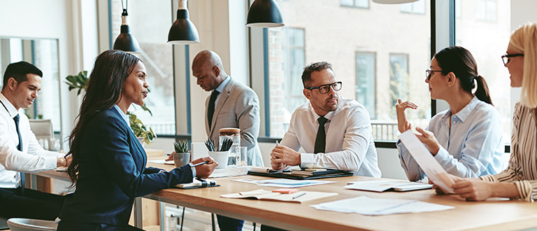 The Business Analysis Standard